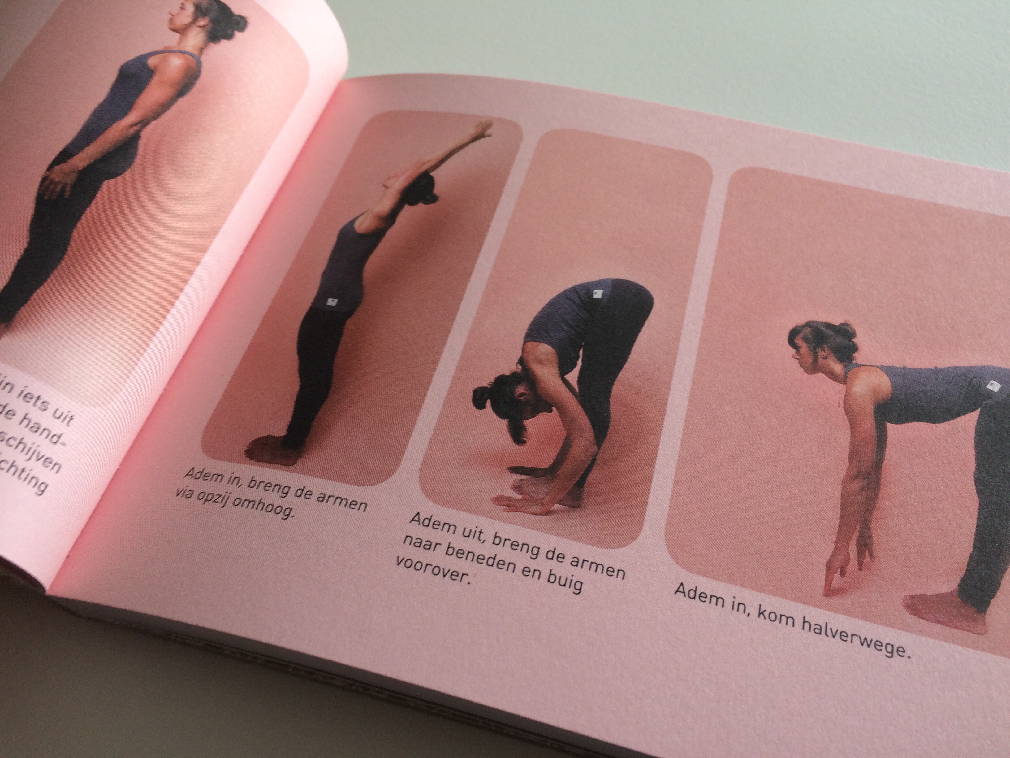 Yoga boek: Easy yoga
