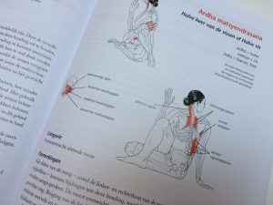 yoga anatomie